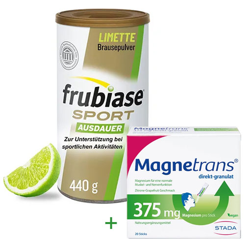 FRUBIASE SPORT Ausdauer Brausepulver 440 g