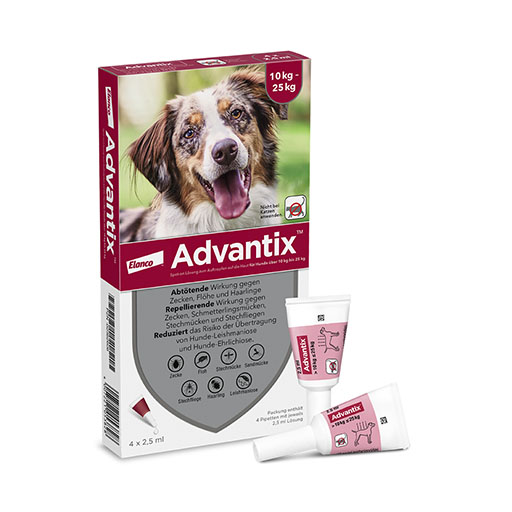 ADVANTIX Spot-on Lsg. z. Auftr. a. d. H. f. Hund 10-25 kg<sup> 6</sup> 4 St
