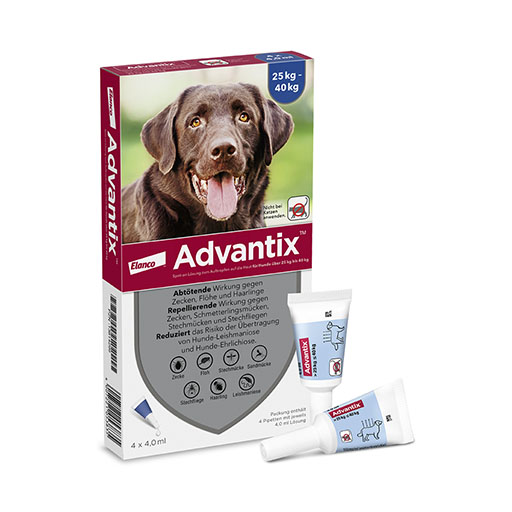 ADVANTIX Spot-on Lsg. z. Auftr. a. d. H. f. Hund 25-40 kg<sup> 6</sup> 4x4,0 ml